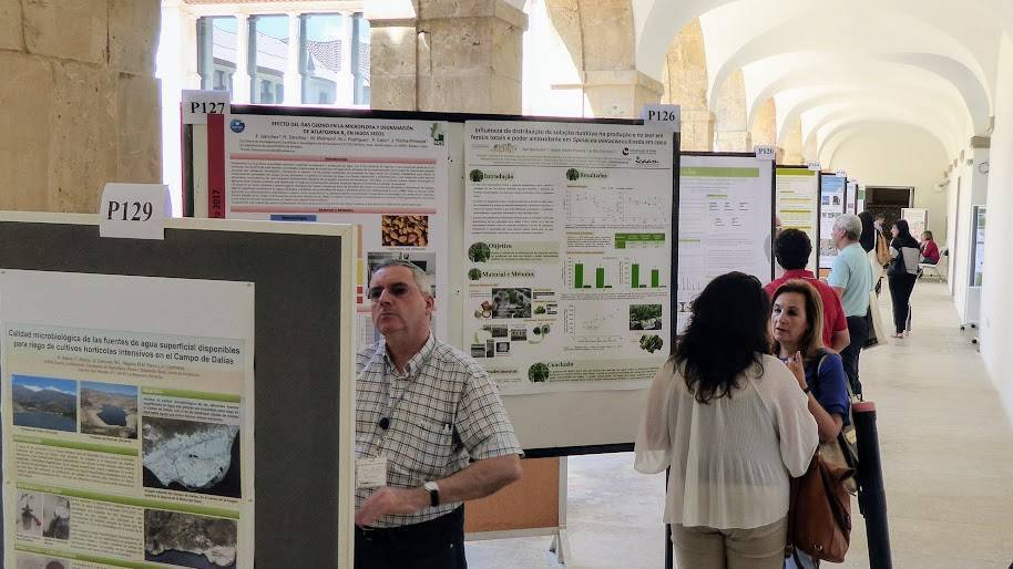 SECH PT pósters|Sech frutos rojos